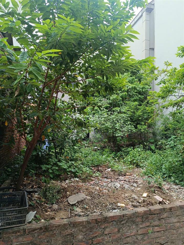 Chính chủ bán đất đẹp xã đức thượng (huyện hoài đức cũ). vị trí đất ngay sát vđ 4, quốc lộ 32.