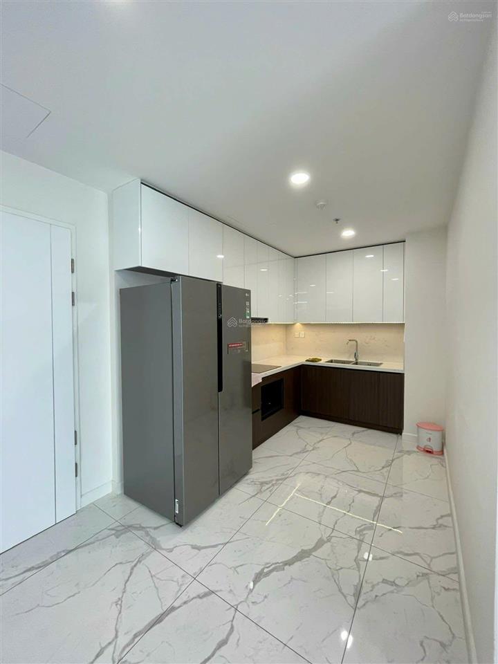 Cho thuê căn hộ sunshine sky city phú mỹ hưng 2pn  2wc 70m, full nội thất giá 16 triệu/tháng