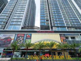 Cho thuê căn hộ chung cư metropolis phố liễu giai  ba đình  3 pn  2 vs full đồ
