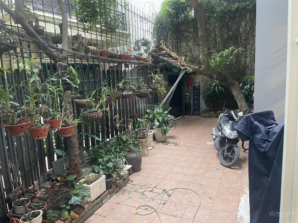 Cho thuê nhà nguyên căn phố phan kế bính  đào tấn  linh lang  150m  3 tầng  mt 10m