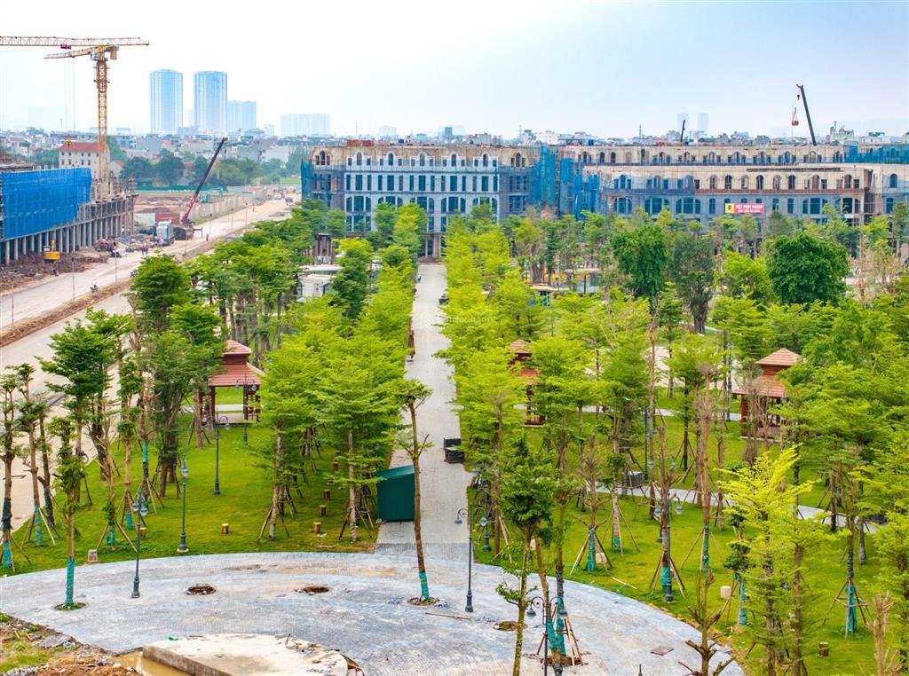 Nhà phố 5 tầng vị trí đẹp, ôto đỗ cửa, kinh doanh thuận lợi. ck 11,5%, quà 350tr, vay 70%.