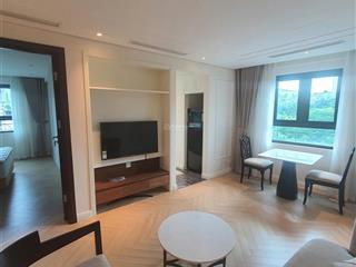 Chính chủ cho thuê căn hộ 1 ngủ chung cư t  place hàng bài,  0933 533 ***