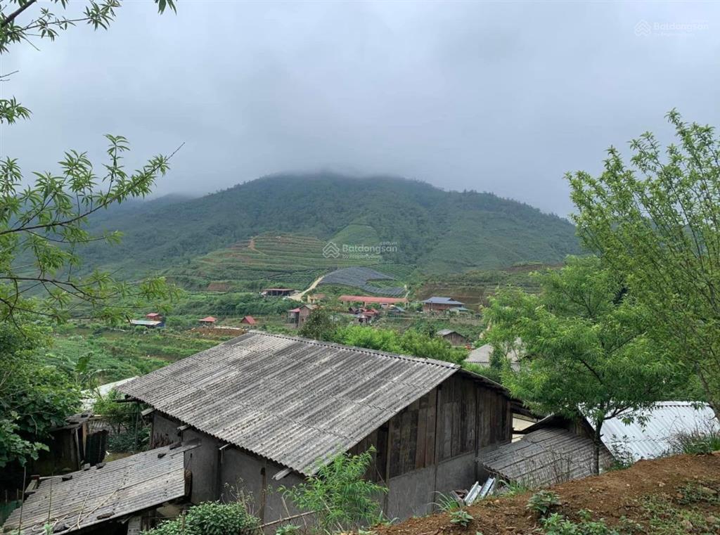 Sapa xã ngũ chỉ sơn em có 1600m2 chính chủ cắt lỗ 680tr tặng nguyên 1 vườn đào, ôtô vào tận cửa