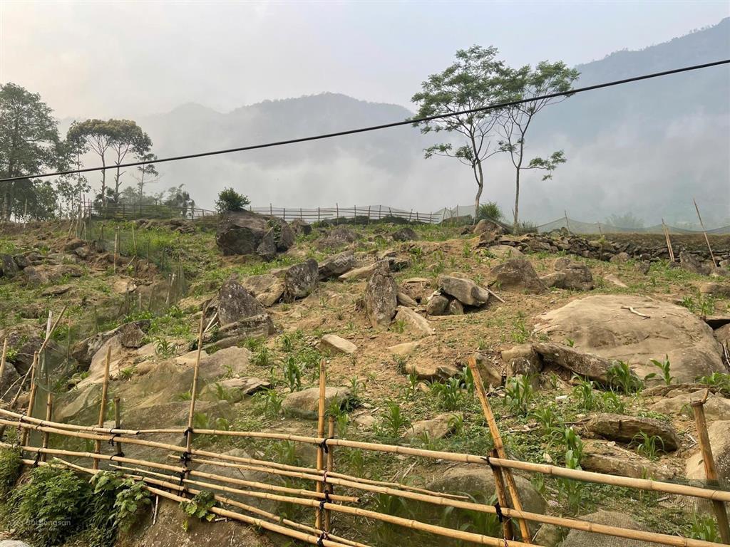 Sa pa lô đất view ruộng bậc thang đẹp hiếm vị trí mường hoa khu vực du lịch nổi tiếng,