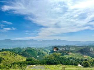 Đất bảo lộc  view săn mây đồi bát úp đại lào dt 1384m2 (25mx45m) đường ô tô vào tận nơi