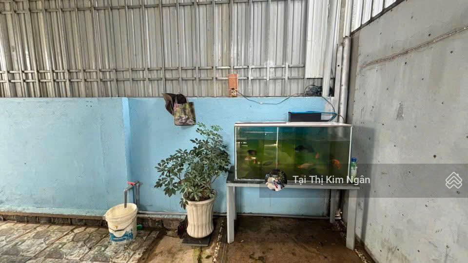 Nhà có sân vườn lữ gia  lộc châu  bảo lộc  dt 6.5m x 40m sẵn 100m2 thổ cư, đường oto