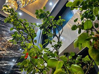 Bán căn duplex cao cấp 180m2 căn góc eco green 286 nguyễn xiển