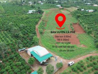 1 ha có 200m thổ cư, kế trung tâm xã ia phí (ia ka chư păh cũ), tỉnh gia lai