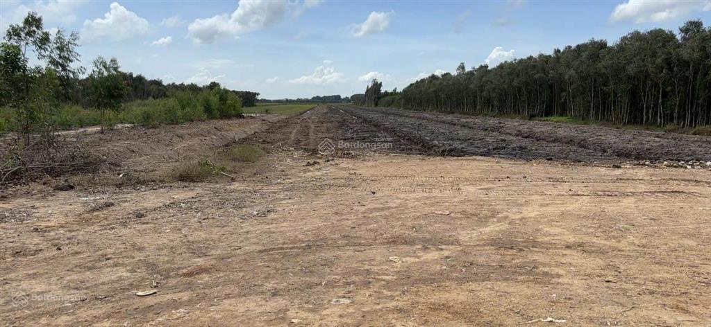 Bán đất tại thạnh hóa, 17 tỷ, 260000 m2, đẹp nhiều tiện ích uy tín