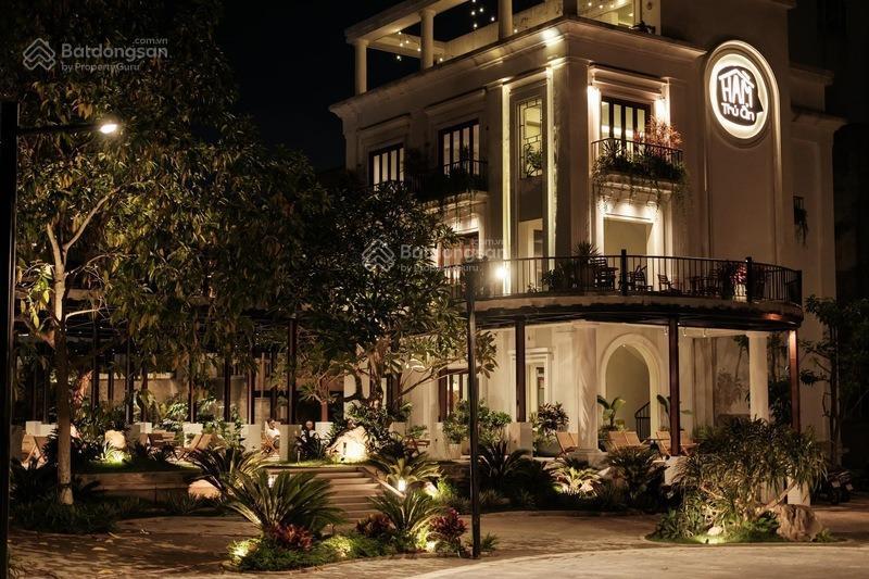 Cho thuê mặt bằng đường phạm ngọc thạch, phường 6, quận 3