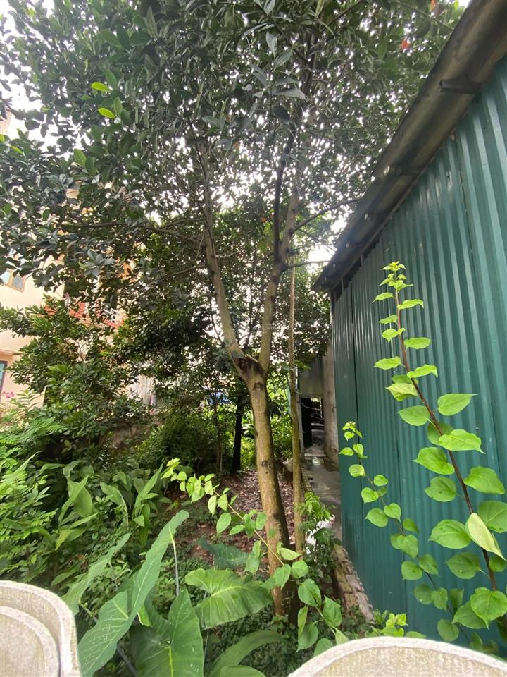Mình chính chủ cần bán mảnh đất