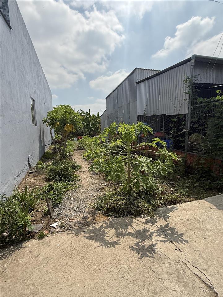 Bán đất đẹp tại long cang ,870 triệu, 100m2, mặt tiền 5m, pháp lý đầy đủ