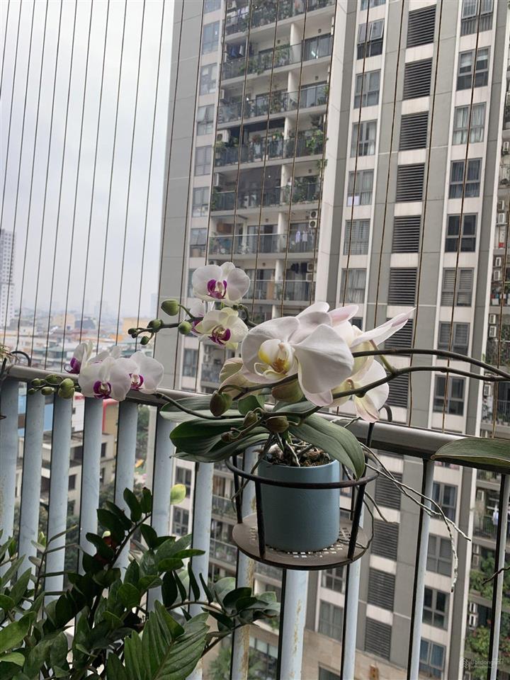 Cho thuê căn hộ chung cư 121m tầng trung, đầy đủ tiện nghi. chỉ việc xách vali về ở.