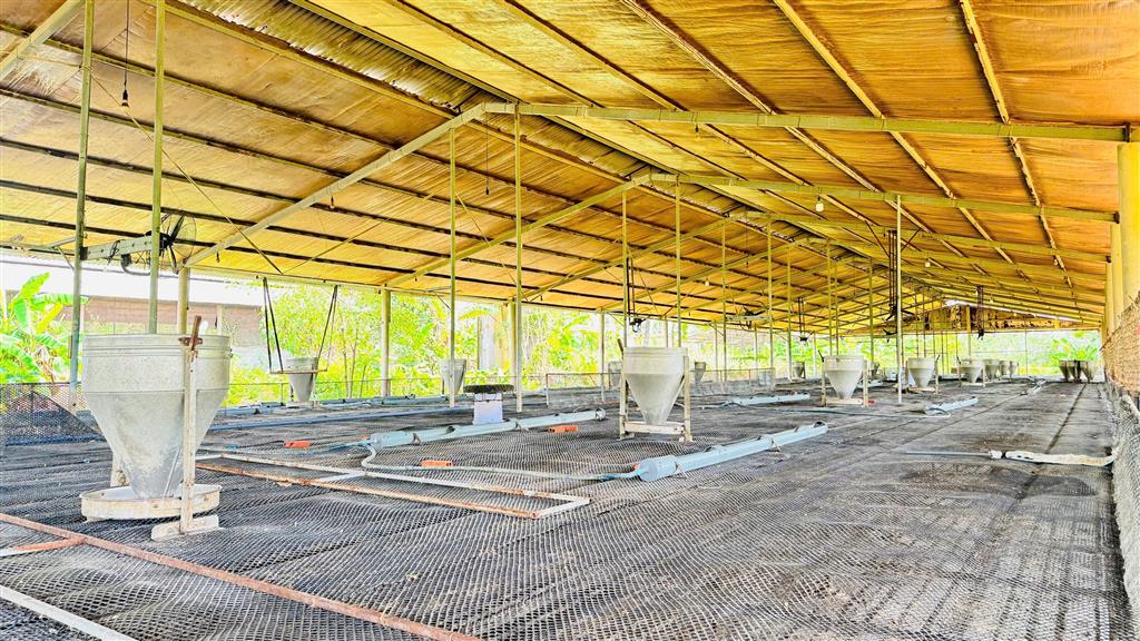 X159 bán xưởng, trại heo đang hoạt động ổn định, vị trí xa dân cư, có suối sau đất