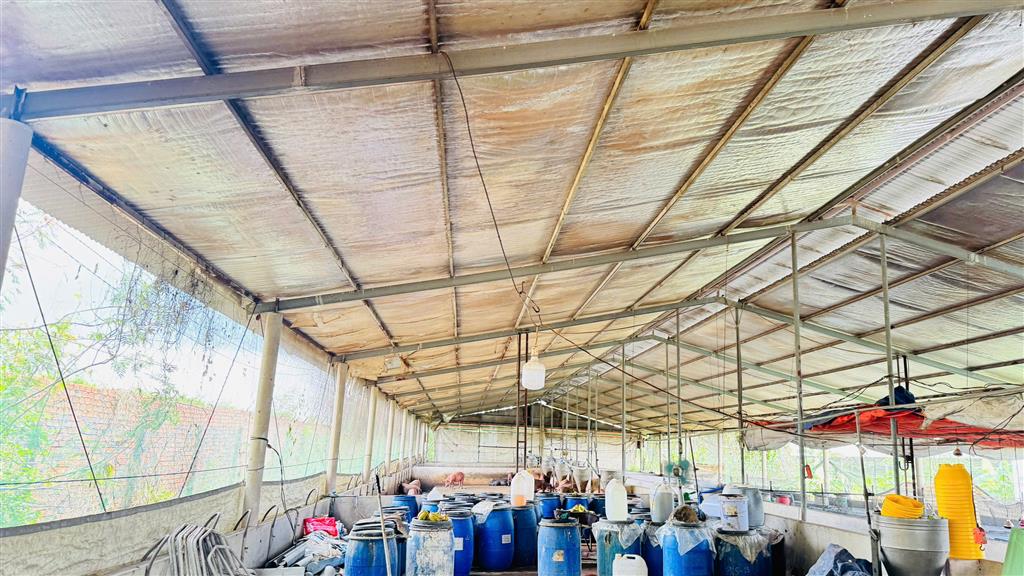 X159 bán xưởng, trại heo đang hoạt động ổn định, vị trí xa dân cư, có suối sau đất