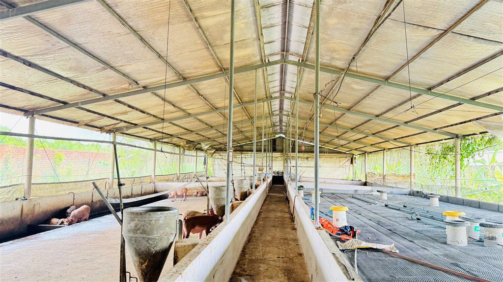 X159 bán xưởng, trại heo đang hoạt động ổn định, vị trí xa dân cư, có suối sau đất