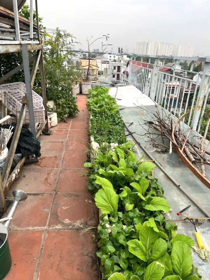 Bán Tòa CHDV 210m² Gần Quốc Lộ 13 – 4 Tầng Thang Máy, 14 Phòng, Dòng Tiền 50 Triệu/Tháng