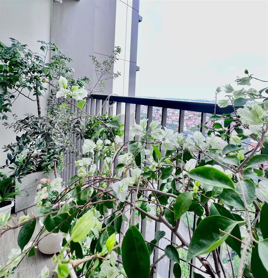 Bán căn hộ 2pn, 58m2 tại haven park residences, giá cực rẻ