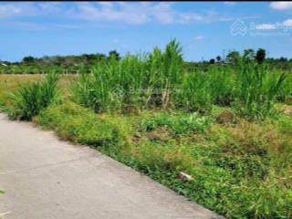 Bán gấp lô đất dt 323.3m2 full thổ cư gần trung tâm châu thành, long an giá 2.55 tỷ