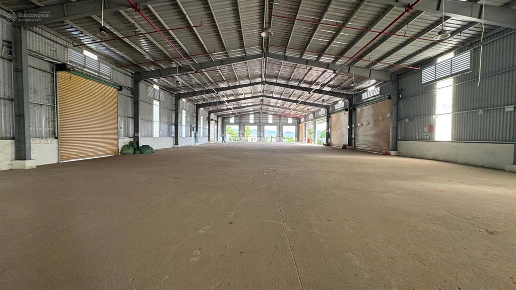 Cho thuê kho tp buôn ma thuột pccc tự động 1800m2 kho+sân bãi 2500m2