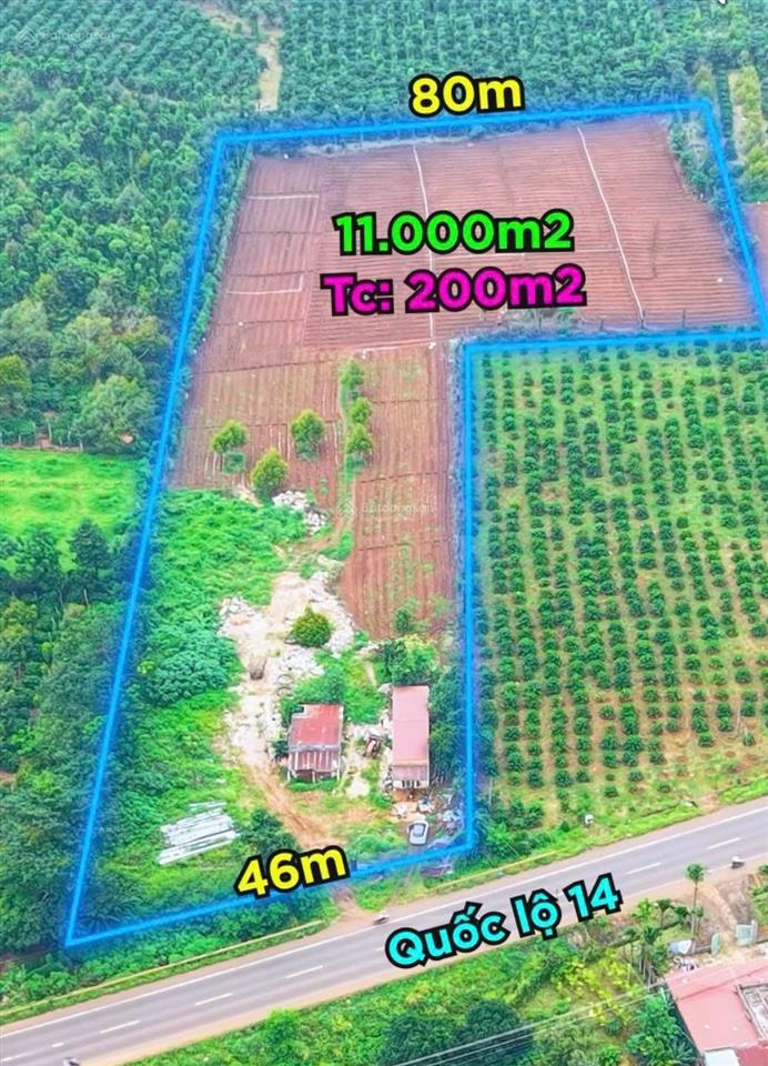 Bán lô đất quy hoạch ont 11000m2 mặt tiền ql14 cuôr đăng