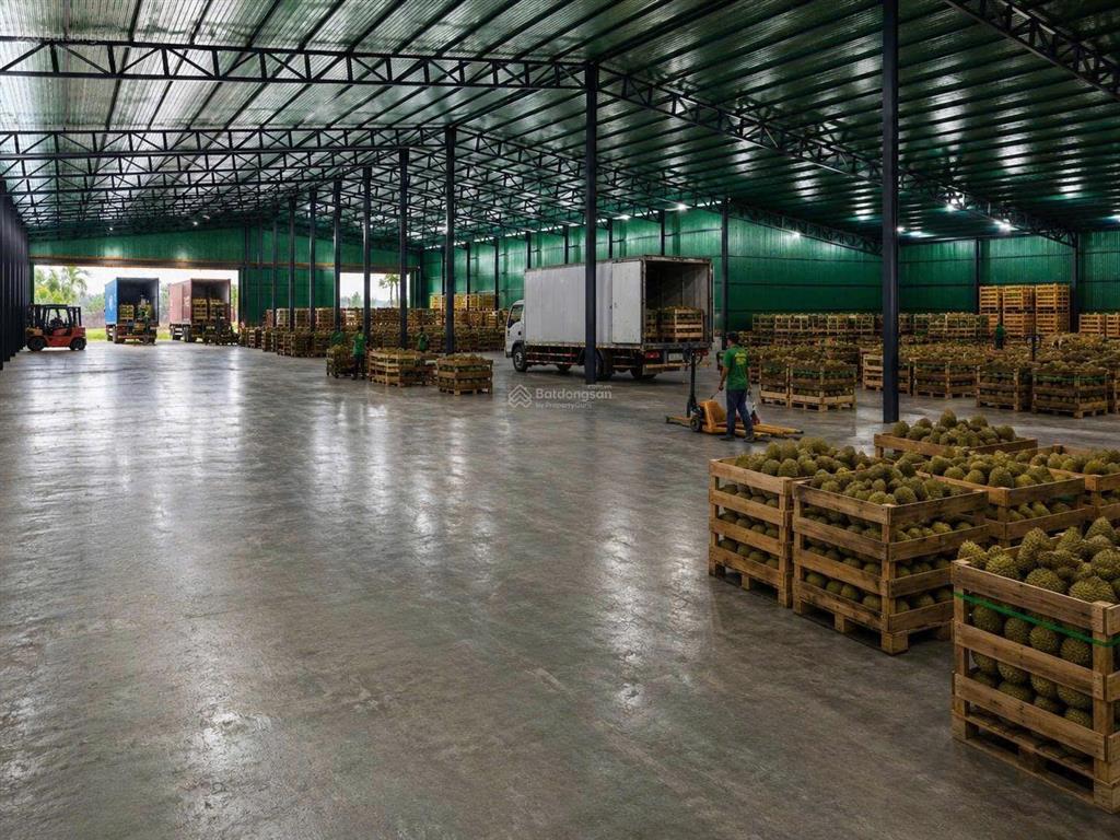 Bán kho 5100m2 đầy đủ pccc đường tỉnh lộ 8, ea tul, huyện cư m'gar, đắk lắk