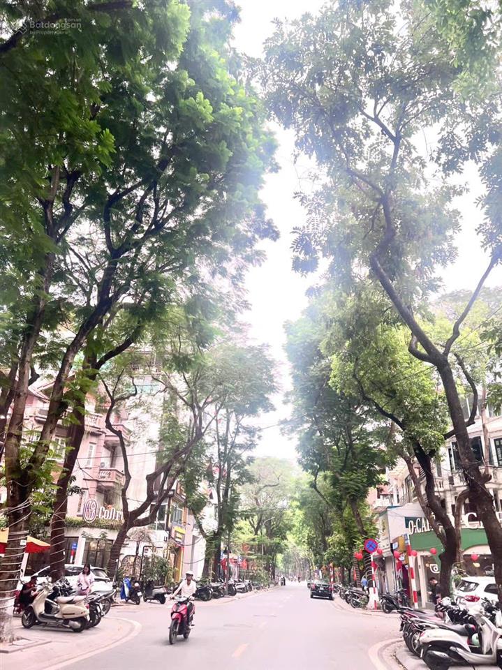 Bán gấp, giá rẻ hơn thị trường 3 tỷ, biệt thự kdt định công 160m2, giá nhỉnh 300 tr/m