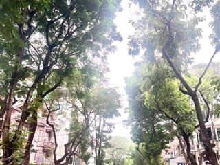 Bán gấp, giá rẻ hơn thị trường 3 tỷ, biệt thự kdt định công 160m2, giá nhỉnh 300 tr/m