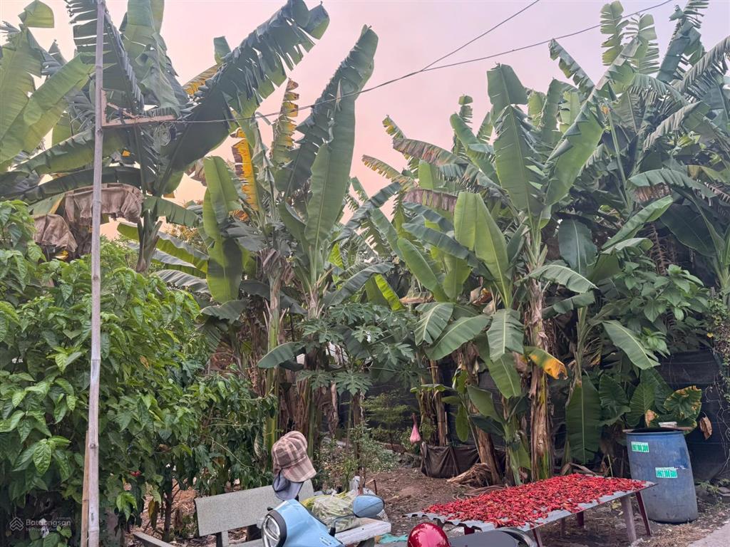 Bán đất full thổ cư hẻm xe hơi ngang 7.5m ngay xuân thới sơn thị hóc môn chỉ 3.55 tỷ tl