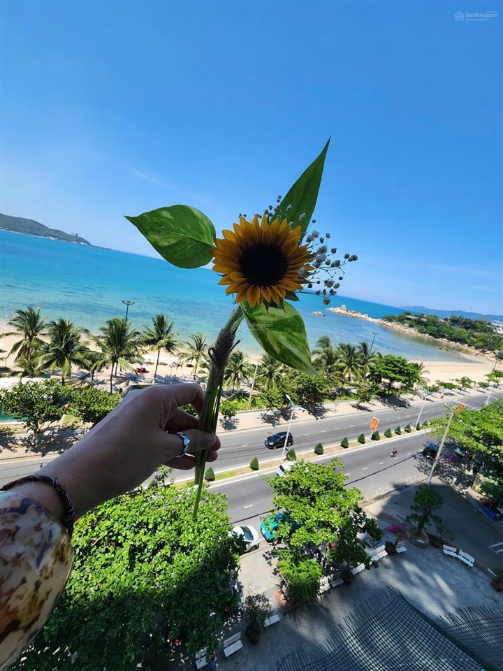 Cần bán nhanh cặp căn view biển, chung cư mường thanh viễn triều, nha trang, khánh hòa