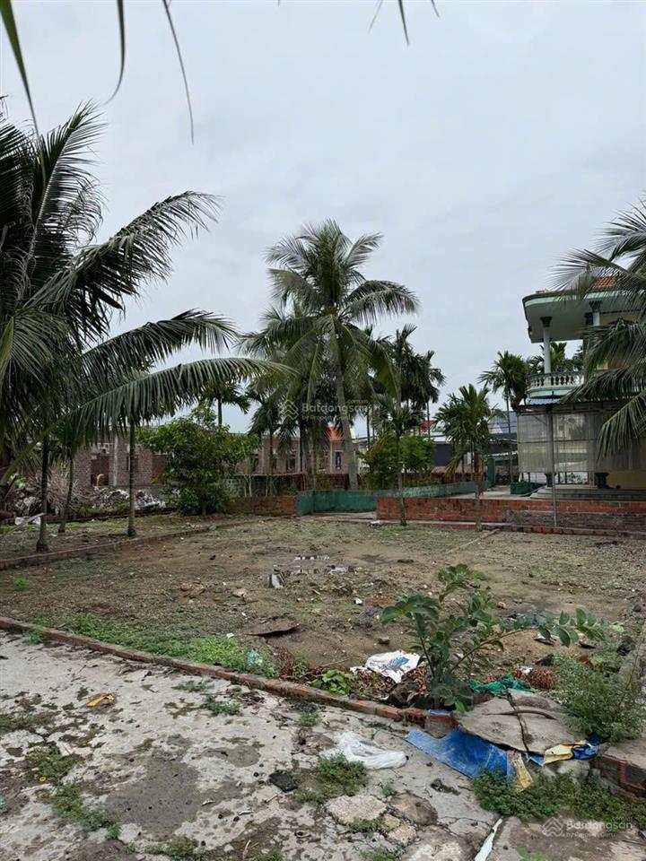 Bán đất nhà vườn ven sông phường lập lễ, thuỷ nguyên, dtsd 1000m2 (bìa 386m2), ngang 15m vuông vắn