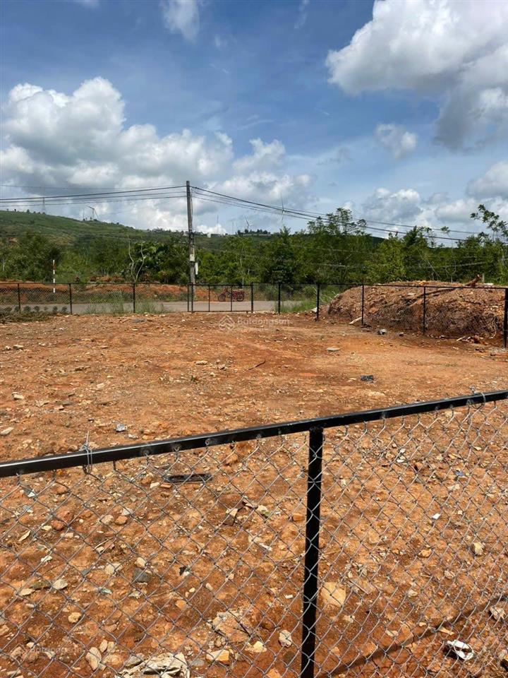 Đầu tư đất view 9 trụ điện gió cầu đất đà lạt mt 15m diện tích 299m2 thổ cư 100% sổ sẵn chính chủ
