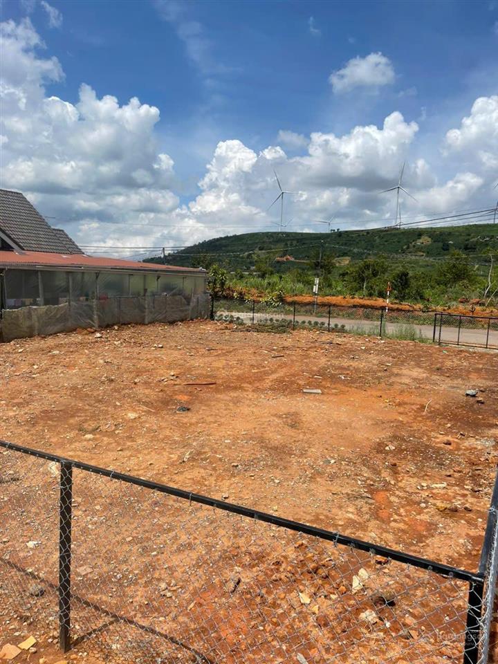 Đầu tư đất view 9 trụ điện gió cầu đất đà lạt mt 15m diện tích 299m2 thổ cư 100% sổ sẵn chính chủ