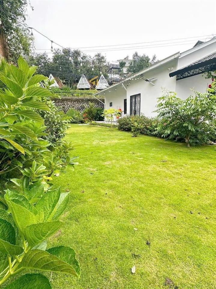 Villa sân vườn trái cây trung tâm góc hai mặt tiền