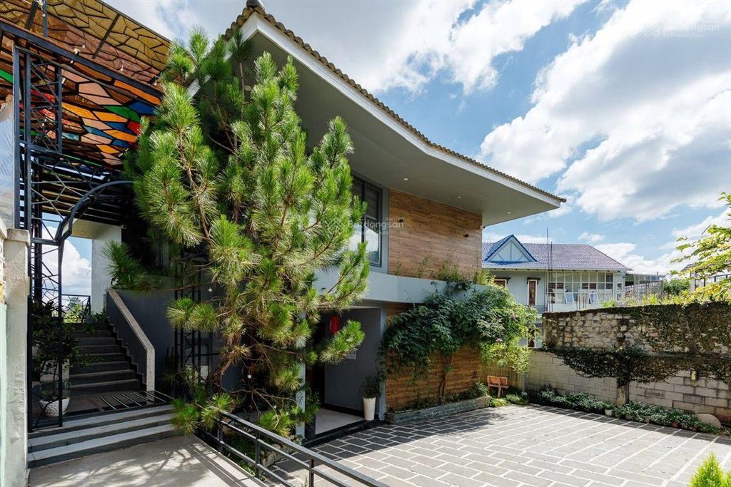 Villa kinh doanh hẻm xô viết view đồi thông nội thất đẹp 1150m2