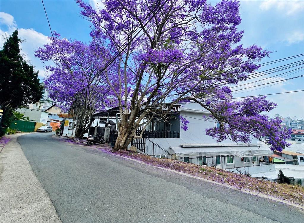 Đất biệt lập lợi hầm khu villa yên tĩnh cách hồ xuân hương 3km