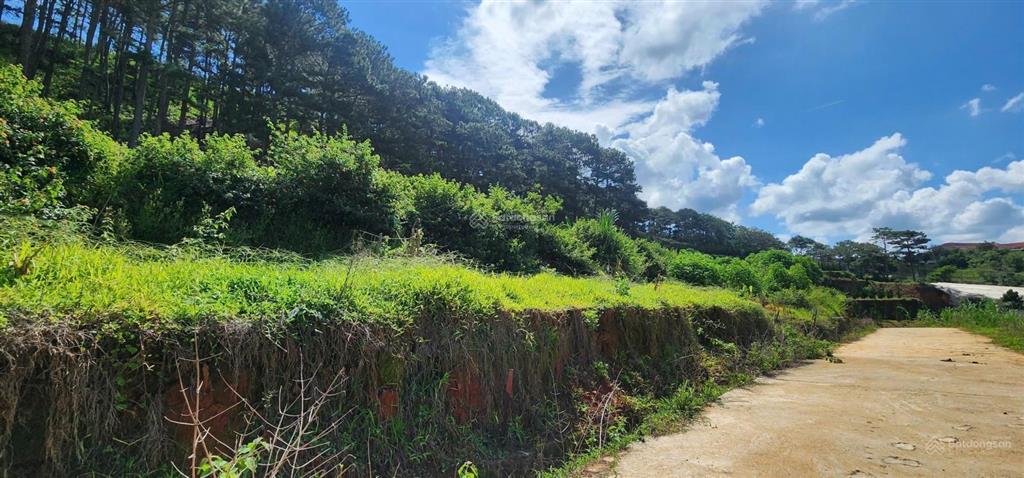 Khuôn đất lớn phường langbiang đà lạt, cách hồ xuân hương 9km mát mẻ trong lành quanh năm