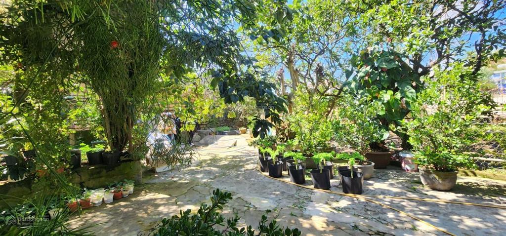 Khuôn đất lớn phường langbiang đà lạt, cách hồ xuân hương 9km mát mẻ trong lành quanh năm