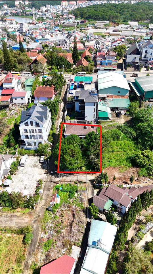 Chiếc villa xưa view thông xanh diện tích lớn trung tâm