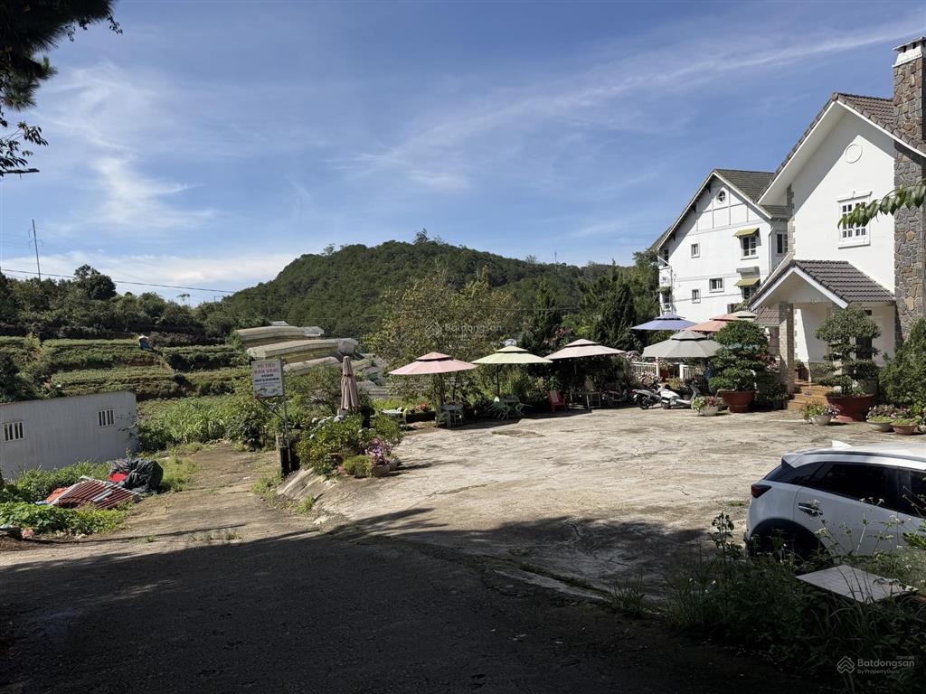 Chiếc villa xưa view thông xanh diện tích lớn trung tâm
