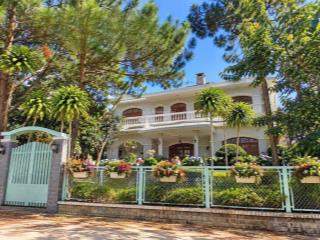 Chiếc villa xưa view thông xanh diện tích lớn trung tâm