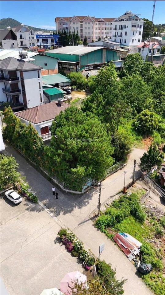 Chiếc villa xưa view thông xanh diện tích lớn trung tâm