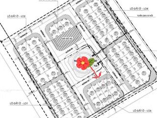 Bán đất đấu giá x3 dt75m,mt6m an khánh hà nội vỉa hè kinh doanh ô tô tránh cách vành đai 4 chỉ 500m