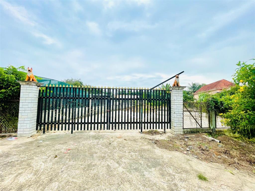 Cắt lỗ 500 triệu bán đất đường lớn trung lập 1.333m2 có thổ cư/ gần chợ, trường học/ giá hơn 5 tỷ