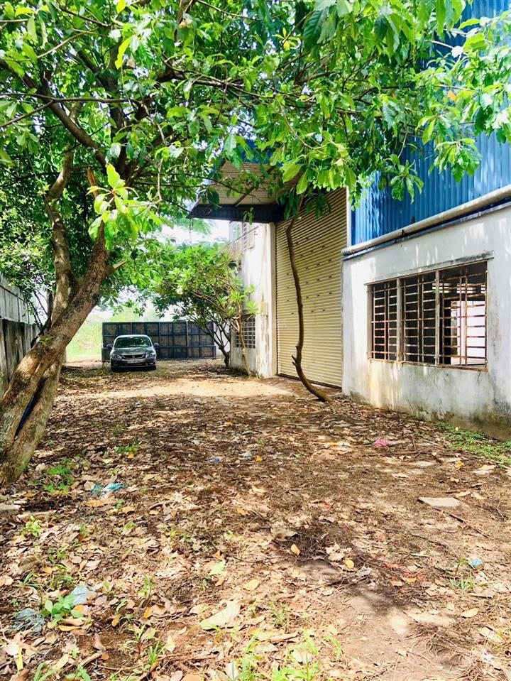 Cắt lỗ 1 tỷ bán kho xưởng kiên cố gần vành đai 3/ diện tích 1.076m thổ cư giáp hóc môn/ giá 17,5 tỷ