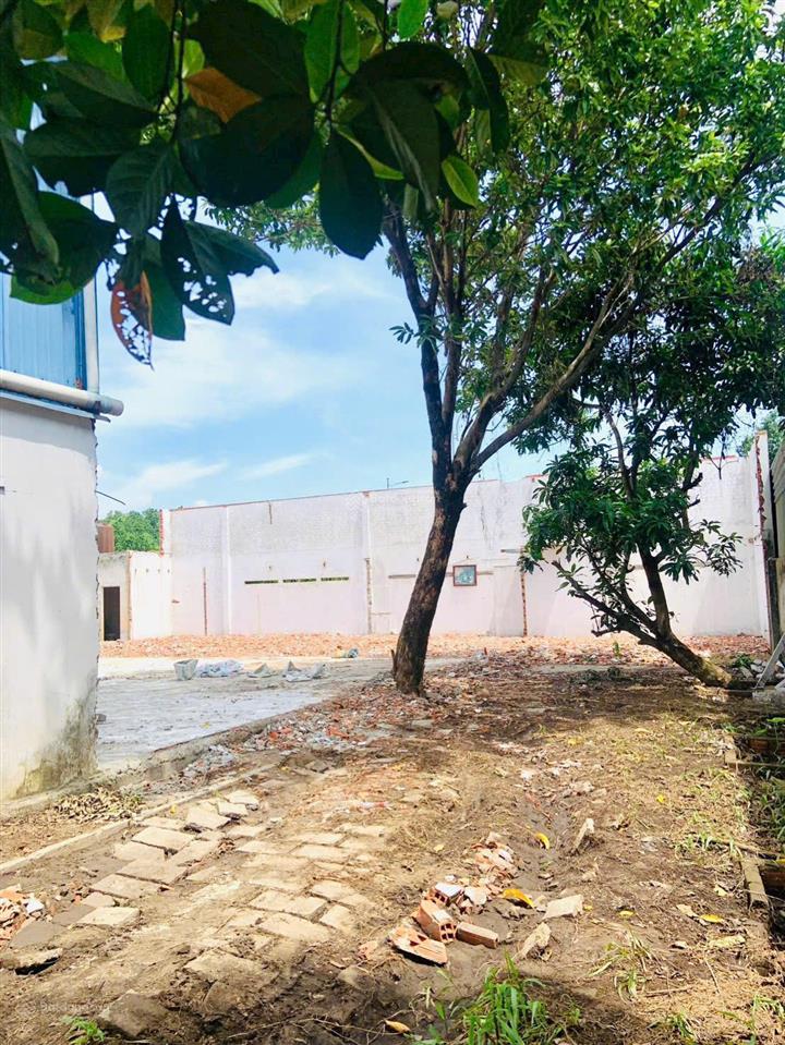 Cắt lỗ 1 tỷ bán kho xưởng kiên cố gần vành đai 3/ diện tích 1.076m thổ cư giáp hóc môn/ giá 17,5 tỷ