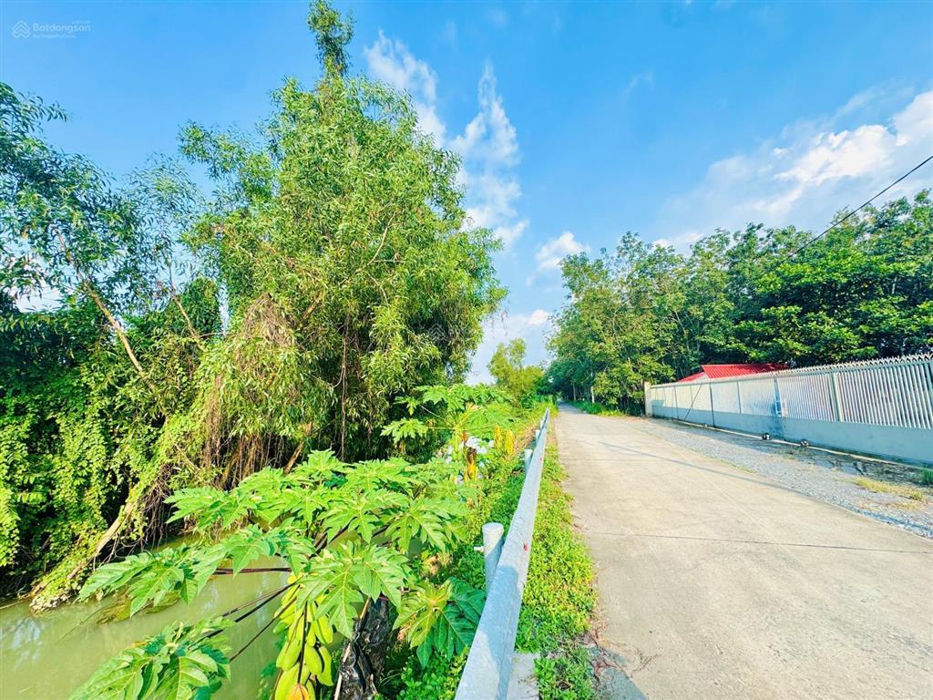 Chính chủ lỗ 6 tỷ bán gấp 1 hecta đất mặt tiền đường kênh có sẵn 2.000m thổ cư / giá ngộp 2,3 tr/m2