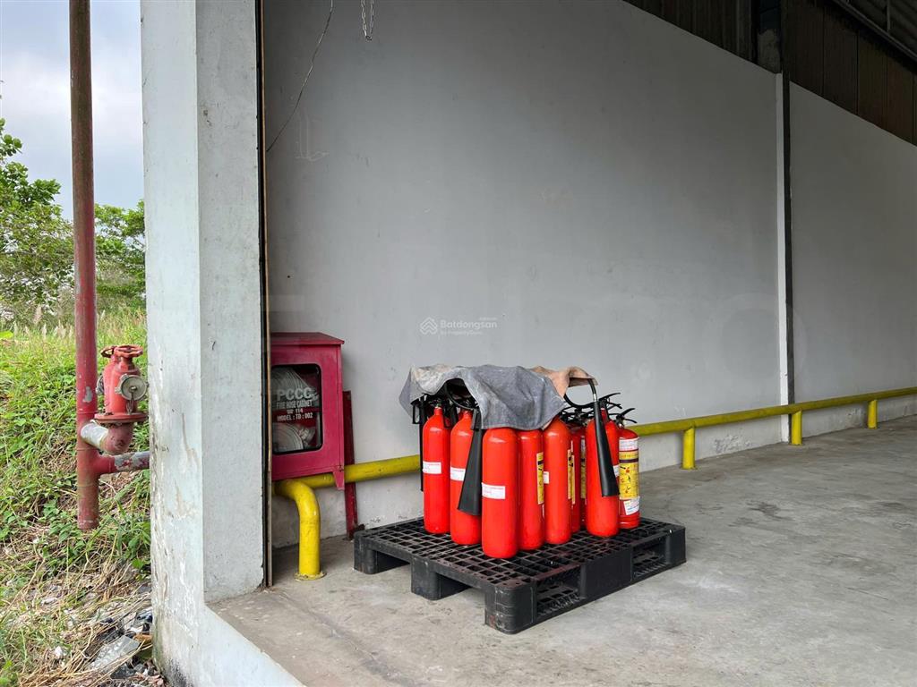 Kho xưởng 1.440m² có dock có sân bãi rộng và bảo vệ vòng ngoài, trong khu công nghiệp tân phú thạnh