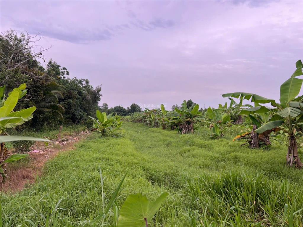 Bán hơn 10.000m2 đất thương mại mặt tiền quốc lộ 61c gần ngã 3 cầu vàm xáng