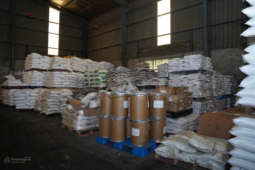 Kho xưởng 1.400 m² nhánh đường quốc lộ 91b (nguyễn văn linh), lộ container